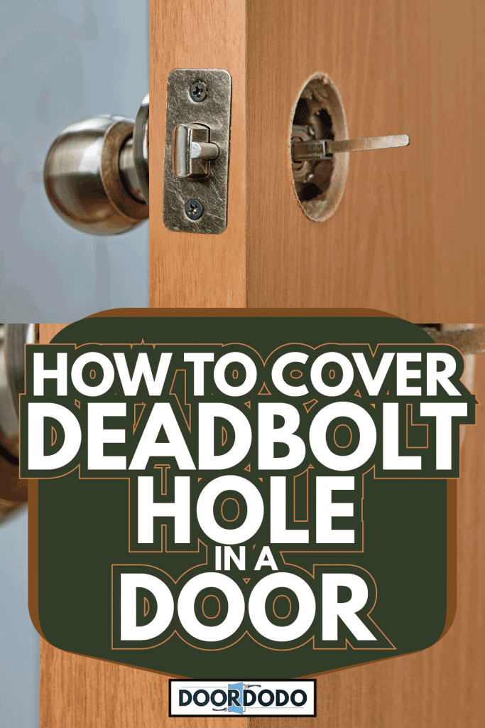 The spindle of the doorknob mechanism is visible from the side. How To Cover Deadbolt Hole In A Door