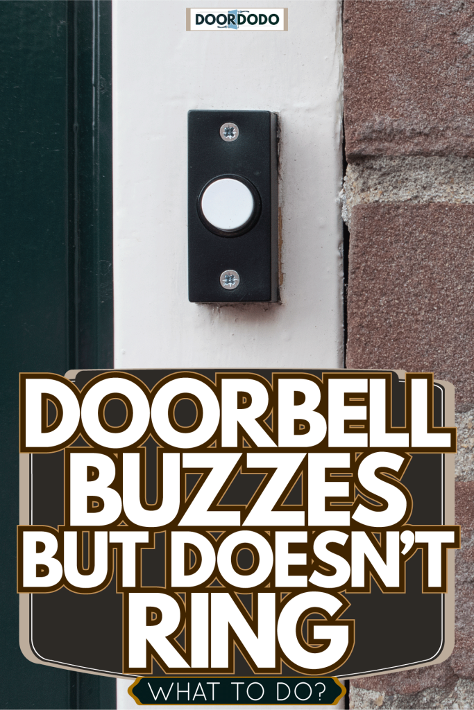 A black door bell mounted on the door frame, Doorbell Buzzes But Doesn't Ring - What To Do?