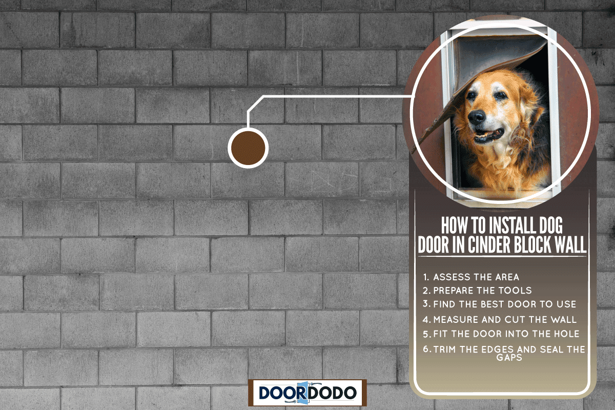 Cinder Block Gray wall, How To Install Dog Door In Cinder Block Wall